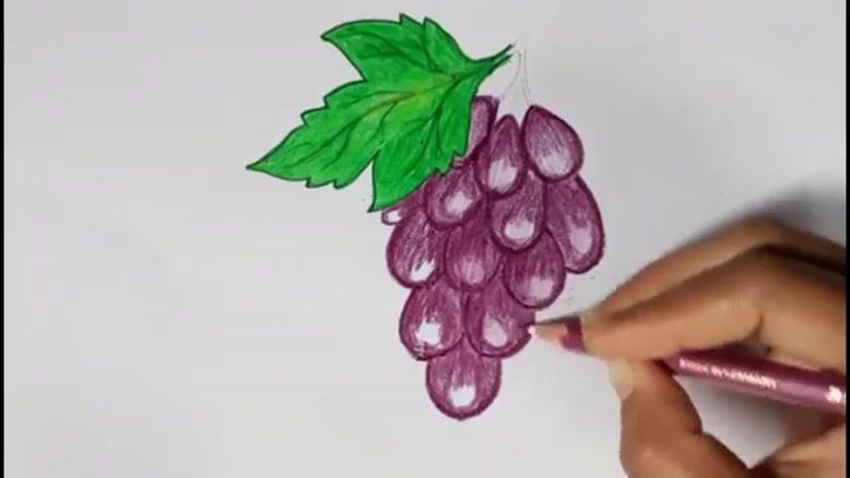 نقاشی کودکانه انگور