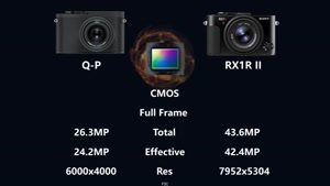 مقایسه 2 دوربین فول فریم Leica Q-P و Sony RX1R II