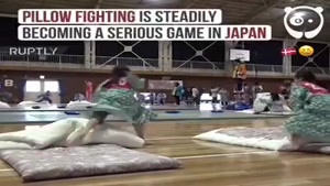 جنگ بالش ها، ورزشی که این روز ها در ژاپن خیلی طرفدار پیدا کرده و قوانین خاصی برای ان تنظیم شد