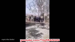 قطع درختان در روز درختکاری شهرستان همدان