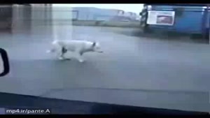 یه میکس قدیمی ولی فوق العاده😂😂👌