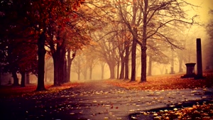 Radio Chill -out Music