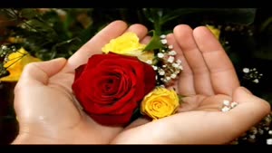 زندگی یعنی چه؟