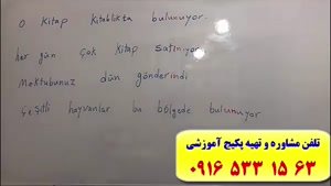 آموزش زبان ترکی استانبولی با استاد 10 زبانه (استاد علی کیانپور)-فقط 2 ماه-100% تضمینی