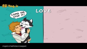 تفاوت سگ و گربه ها در قالب انیمیشن