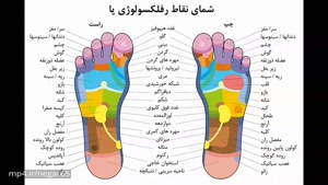 معجزه روغن زدن به کف پا - درمان ۲۷ مرض واختلالات بدن با چرب کردن کف پا