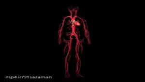 Anatomically-آناتومی بدن انسان