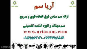 سم ساس دیدبدیباگس، فوق العاده قوی