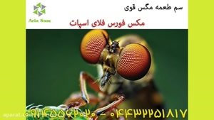 سم مگس کش بسیار قوی فلای اسپات