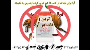 از بین بردن کک ها با سم قوی و خارجی کیلز فلاز