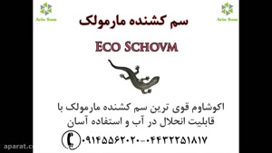 قوی ترین سم مارمولک در فروشگاه آریا سم، تضمینی