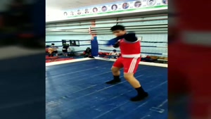Boxing_vahidsabeti