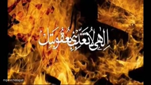 استاد عالی