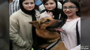سارا و نیکا فرقانی اصل