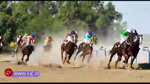 درگیری خونین در حاشیه مسابقات اسب دوانی