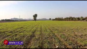 کشیده شدن پای کشاورزی ایرانی به خاک کشورهای خارجی 