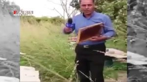 حمله زنبورها به خبرنگار