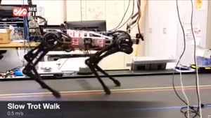 رباتی که بدون چشم نیز همه کار می‌کند