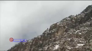 ششمین روز سقوط هواپیمای تهران - یاسوج