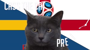 گربه پیشگو جام جهانی روسیه برد انگلیس را در مقابل سوئد پیش گویی کرد