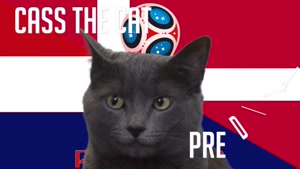 گربه پیشگو جام جهانی روسیه برد کرواسی را در مقابل دانمارک پیش گویی کرد