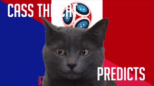 گربه پیشگو جام جهانی روسیه برد فرانسه را در مقابل پرو پیش گویی کرد