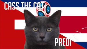 گربه پیشگو جام جهانی روسیه برد کاستاریکا را در مقابل سوئیس پیش گویی کرد