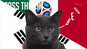گربه پیشگو جام جهانی روسیه برد مکزیک را در مقابل کره جنوبی پیش گویی کرد