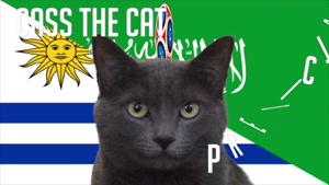 گربه پیشگو جام جهانی روسیه برد اروگوئه را در مقابل عربستان سعودی پیش گویی کرد