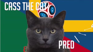 گربه پیشگو جام جهانی روسیه برد سوئد را در مقابل مکزیک پیش گویی کرد