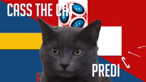 گربه پیشگو جام جهانی روسیه برد سوئد را در مقابل سوئیس پیش گویی کرد