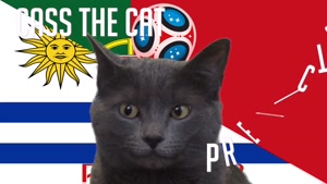 گربه پیشگو جام جهانی روسیه برد پرتغال را در مقابل اروگوئه پیش گویی کرد