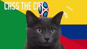 گربه پیشگو جام جهانی روسیه برد کلمبیا را در مقابل سنگال پیش گویی کرد
