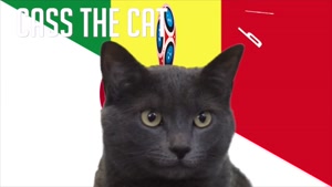 گربه پیشگو جام جهانی روسیه برد سنگال را در مقابل ژاپن پیش گویی کرد