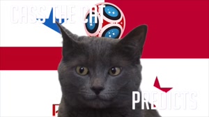 گربه پیشگو جام جهانی روسیه برد انگلیس را در مقابل پاناما پیش گویی کرد