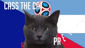 گربه پیشگو جام جهانی روسیه برد فرانسه را در مقابل آرژانتین پیش گویی کرد