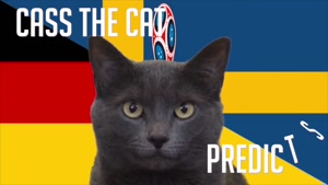 گربه پیشگو جام جهانی روسیه برد آلمان را در مقابل سوئد پیش گویی کرد