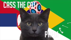گربه پیشگو جام جهانی روسیه برد برزیل را در مقابل صربستان پیش گویی کرد