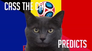 گربه پیشگو جام جهانی روسیه برد فرانسه را در مقابل بلژیک پیش گویی کرد