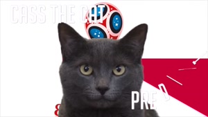گربه پیشگو جام جهانی روسیه برد ژاپن را در مقابل لهستان پیش گویی کرد