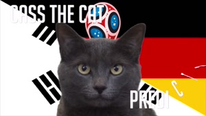 گربه پیشگو جام جهانی روسیه برد آلمان را در مقابل کره جنوبی پیش گویی کرد