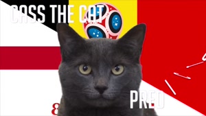 گربه پیشگو جام جهانی روسیه برد بلژیک را در مقابل انگلیس پیش گویی کرد