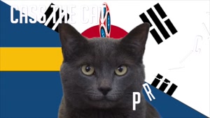 گربه پیشگو جام جهانی روسیه برد کره جنوبی را در مقابل سوئد پیش گویی کرد