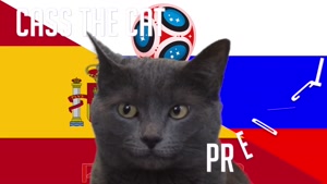 گربه پیشگو جام جهانی روسیه برد اسپانیا را در مقابل روسیه پیش گویی کرد