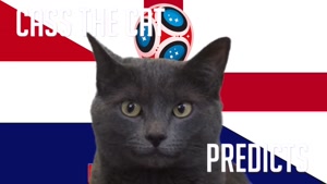 گربه پیشگو جام جهانی روسیه برد انگلیس را در مقابل کرواسی پیش گویی کرد