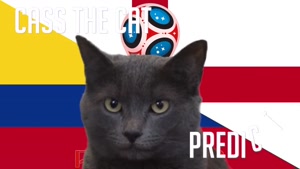 گربه پیشگو جام جهانی روسیه برد کلمبیا را در مقابل انگلیس پیش گویی کرد