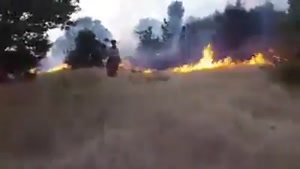 آتش سوزی در جنگلهای مریوان