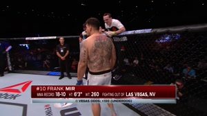 مبارزه UFC بین مارک هانت و فرانک میر