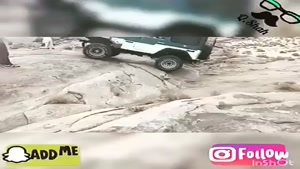 videogardi