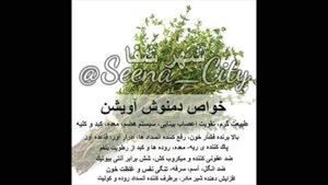 آویشن و فواید آن